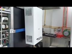 10L 容量 ガスのウォーターヒーター バランスの取れた煙突システム 急速な加熱